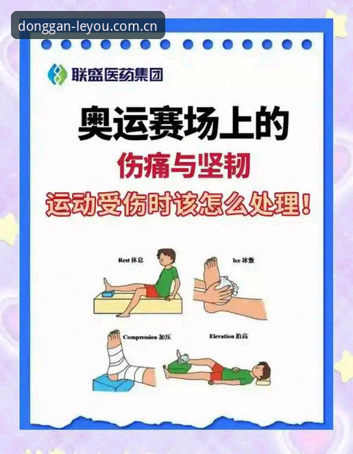 世界杯伤病突发应对教程：从施洛特贝克伤退看赛事信息获取方案